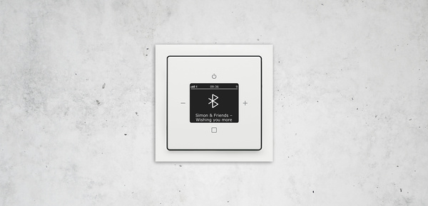 Busch-Radio Btconnect bei Elektro Mathias Koch in Dachau